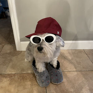 Meet your Posher, Harmony